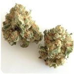 Шишки "White Widow" (Белая вдова) Гидропоника - Бошка VHQ в Балашихе Шишки "White Widow" (Белая вдова) Гидропоника - Бошка VHQ в Балашихе