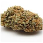 Шишки AK47  (Гидропоника, Бошка) VHQ в Балашихе